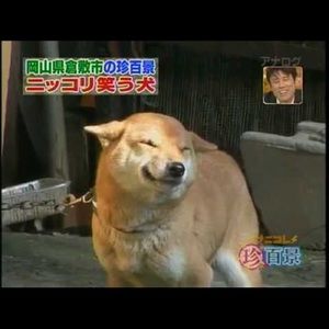 Meet your Posher, Daniela